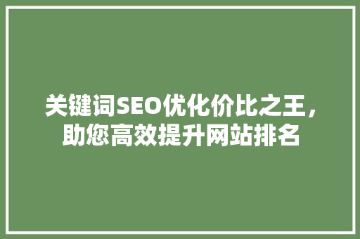 关键词SEO优化价比之王，助您高效提升网站排名