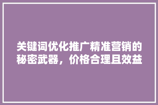关键词优化推广精准营销的秘密武器，价格合理且效益显著
