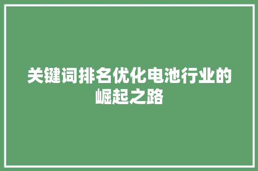 关键词排名优化电池行业的崛起之路