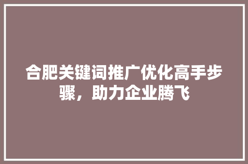 合肥关键词推广优化高手步骤，助力企业腾飞