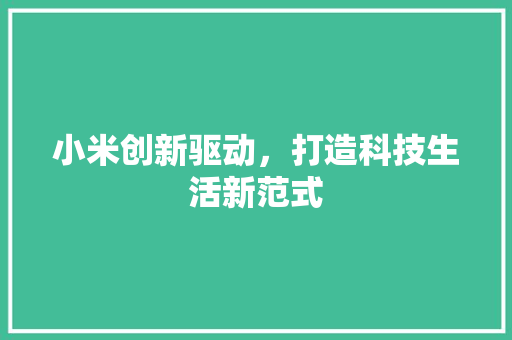 小米创新驱动，打造科技生活新范式