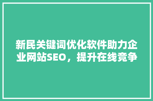 新民关键词优化软件助力企业网站SEO，提升在线竞争力