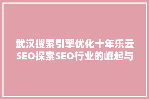 武汉搜索引擎优化十年乐云SEO探索SEO行业的崛起与变革