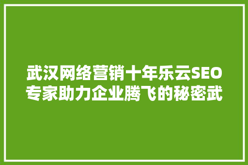 武汉网络营销十年乐云SEO专家助力企业腾飞的秘密武器