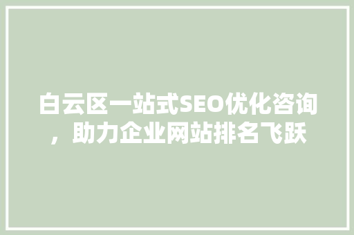 白云区一站式SEO优化咨询，助力企业网站排名飞跃