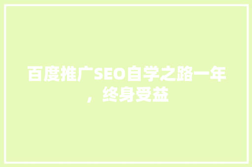 百度推广SEO自学之路一年，终身受益