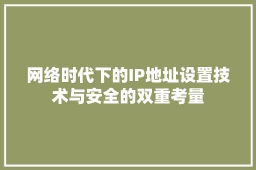 网络时代下的IP地址设置技术与安全的双重考量
