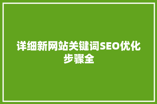 详细新网站关键词SEO优化步骤全