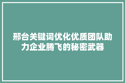 邢台关键词优化优质团队助力企业腾飞的秘密武器