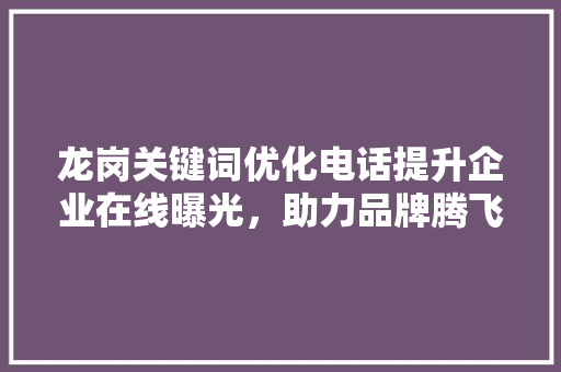 龙岗关键词优化电话提升企业在线曝光，助力品牌腾飞
