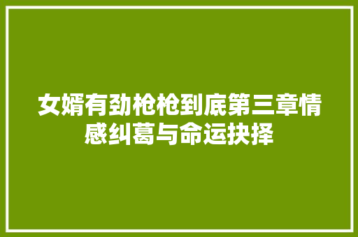 女婿有劲枪枪到底第三章情感纠葛与命运抉择