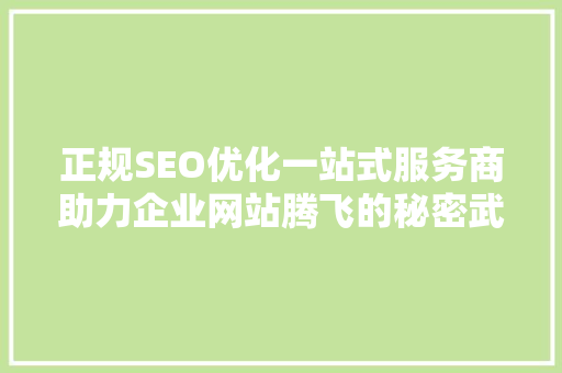 正规SEO优化一站式服务商助力企业网站腾飞的秘密武器