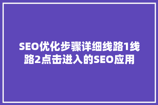SEO优化步骤详细线路1线路2点击进入的SEO应用