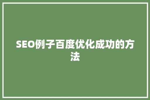 SEO例子百度优化成功的方法