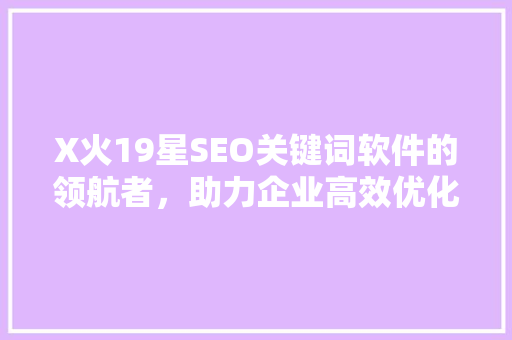 X火19星SEO关键词软件的领航者，助力企业高效优化