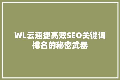 WL云速捷高效SEO关键词排名的秘密武器