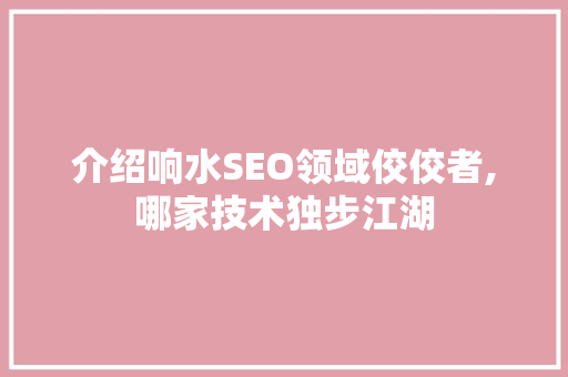 介绍响水SEO领域佼佼者,哪家技术独步江湖
