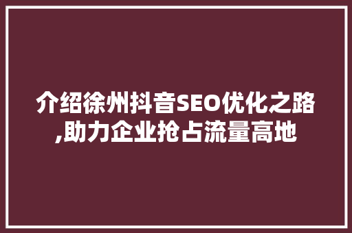 介绍徐州抖音SEO优化之路,助力企业抢占流量高地