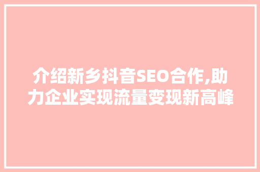 介绍新乡抖音SEO合作,助力企业实现流量变现新高峰