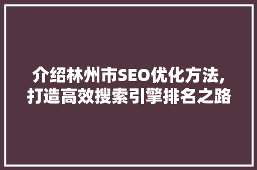 介绍林州市SEO优化方法,打造高效搜索引擎排名之路