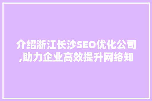 介绍浙江长沙SEO优化公司,助力企业高效提升网络知名度