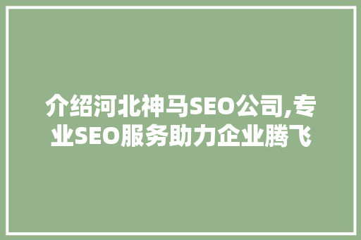介绍河北神马SEO公司,专业SEO服务助力企业腾飞
