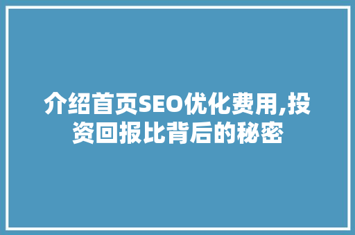 介绍首页SEO优化费用,投资回报比背后的秘密