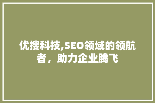优搜科技,SEO领域的领航者，助力企业腾飞