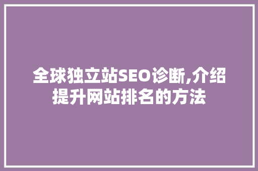 全球独立站SEO诊断,介绍提升网站排名的方法
