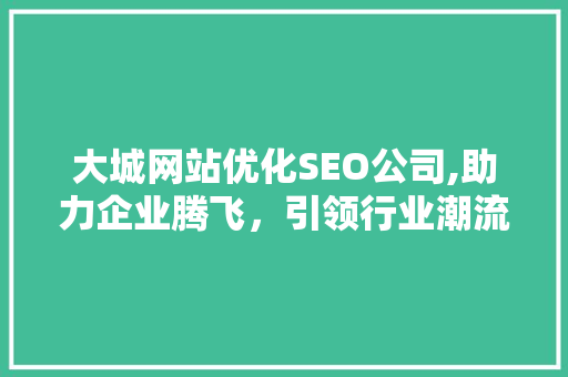 大城网站优化SEO公司,助力企业腾飞，引领行业潮流
