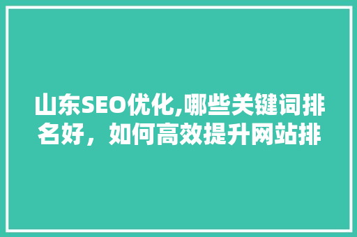 山东SEO优化,哪些关键词排名好，如何高效提升网站排名