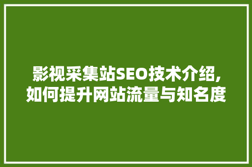 影视采集站SEO技术介绍,如何提升网站流量与知名度