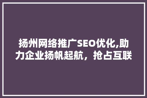 扬州网络推广SEO优化,助力企业扬帆起航，抢占互联网蓝海