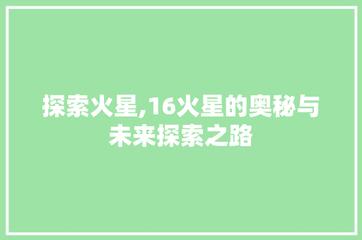 探索火星,16火星的奥秘与未来探索之路