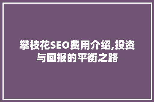 攀枝花SEO费用介绍,投资与回报的平衡之路