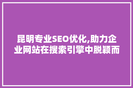 昆明专业SEO优化,助力企业网站在搜索引擎中脱颖而出