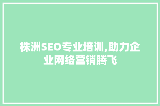 株洲SEO专业培训,助力企业网络营销腾飞