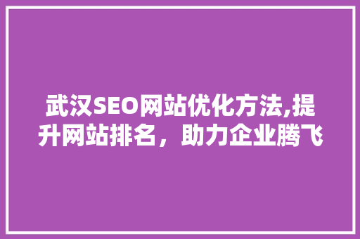 武汉SEO网站优化方法,提升网站排名，助力企业腾飞
