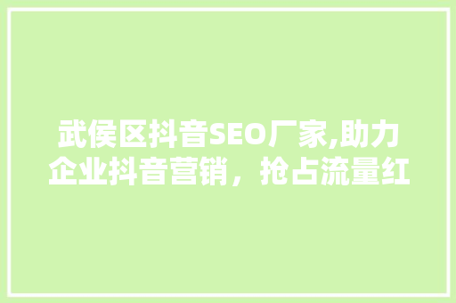 武侯区抖音SEO厂家,助力企业抖音营销，抢占流量红利