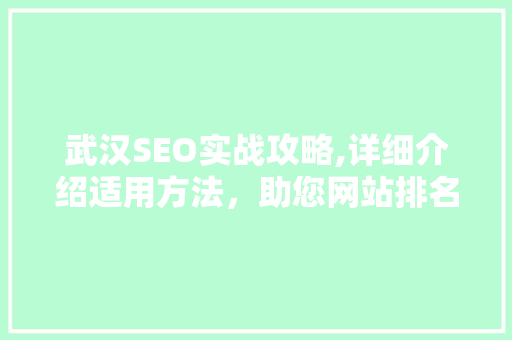 武汉SEO实战攻略,详细介绍适用方法，助您网站排名一路飙升