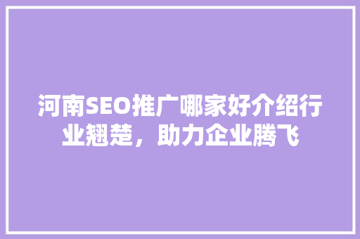 河南SEO推广哪家好介绍行业翘楚，助力企业腾飞