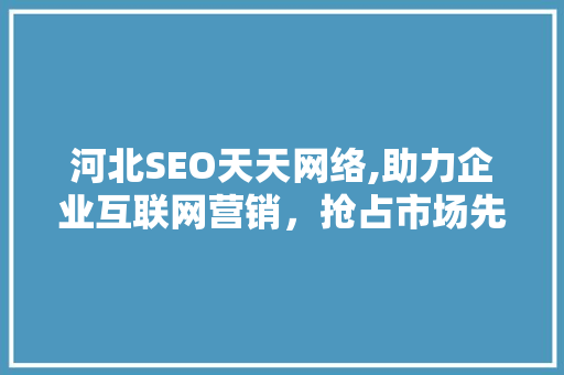 河北SEO天天网络,助力企业互联网营销，抢占市场先机