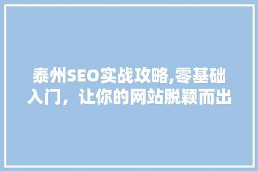 泰州SEO实战攻略,零基础入门，让你的网站脱颖而出