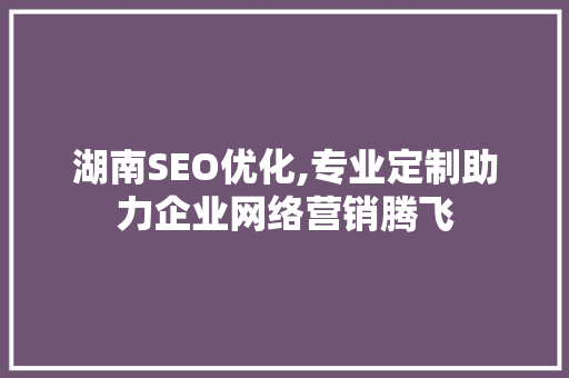 湖南SEO优化,专业定制助力企业网络营销腾飞