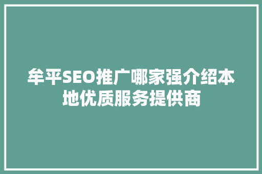 牟平SEO推广哪家强介绍本地优质服务提供商