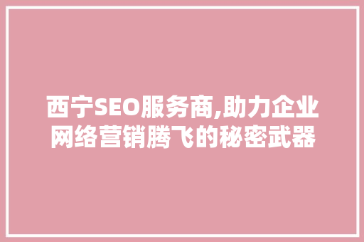 西宁SEO服务商,助力企业网络营销腾飞的秘密武器