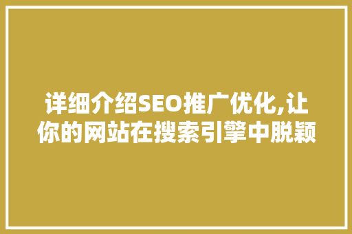 详细介绍SEO推广优化,让你的网站在搜索引擎中脱颖而出
