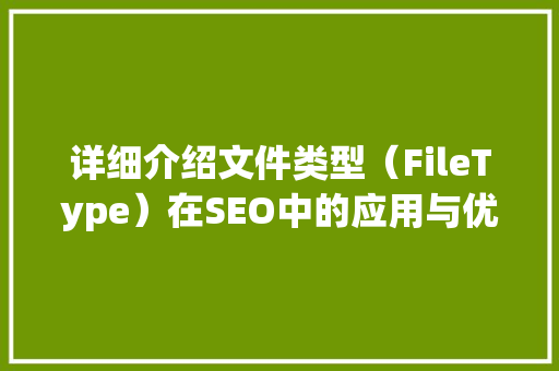 详细介绍文件类型（FileType）在SEO中的应用与优化步骤