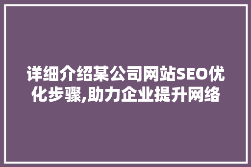 详细介绍某公司网站SEO优化步骤,助力企业提升网络曝光度