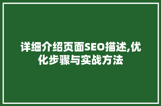 详细介绍页面SEO描述,优化步骤与实战方法